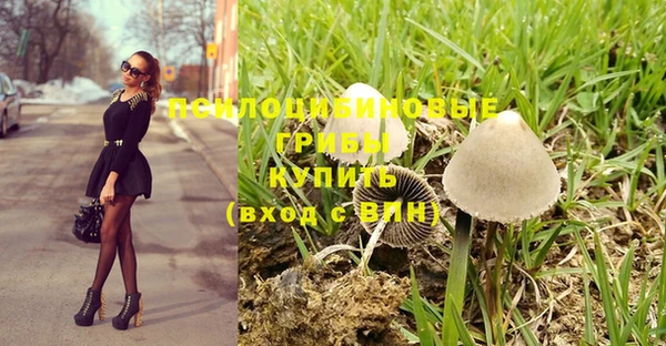МДПВ Алзамай