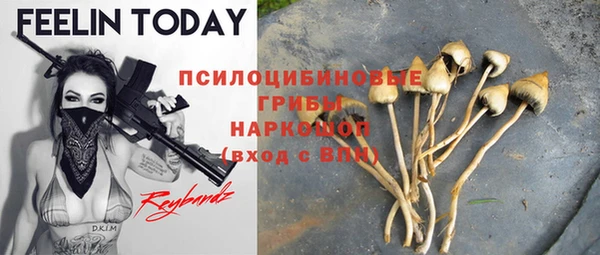 амф Алексеевка