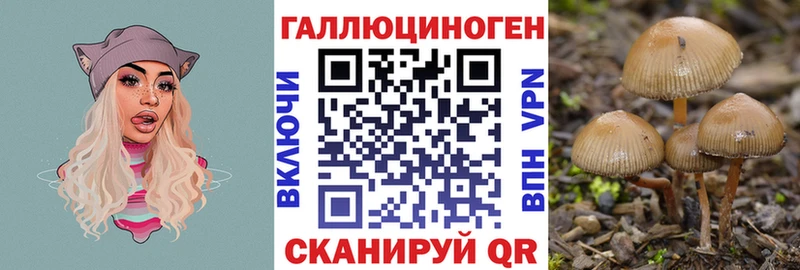 купить наркотики сайты  Родники  omg зеркало  Псилоцибиновые грибы MAGIC MUSHROOMS 
