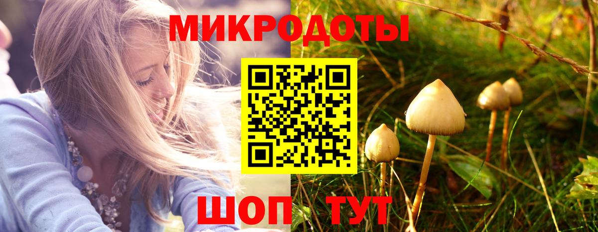 Псилоцибиновые грибы GOLDEN TEACHER  Вход с VPN  Родники 
