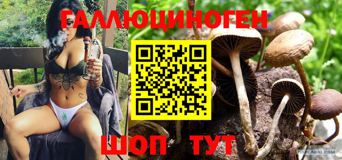 Псилоцибиновые грибы мухоморы Родники